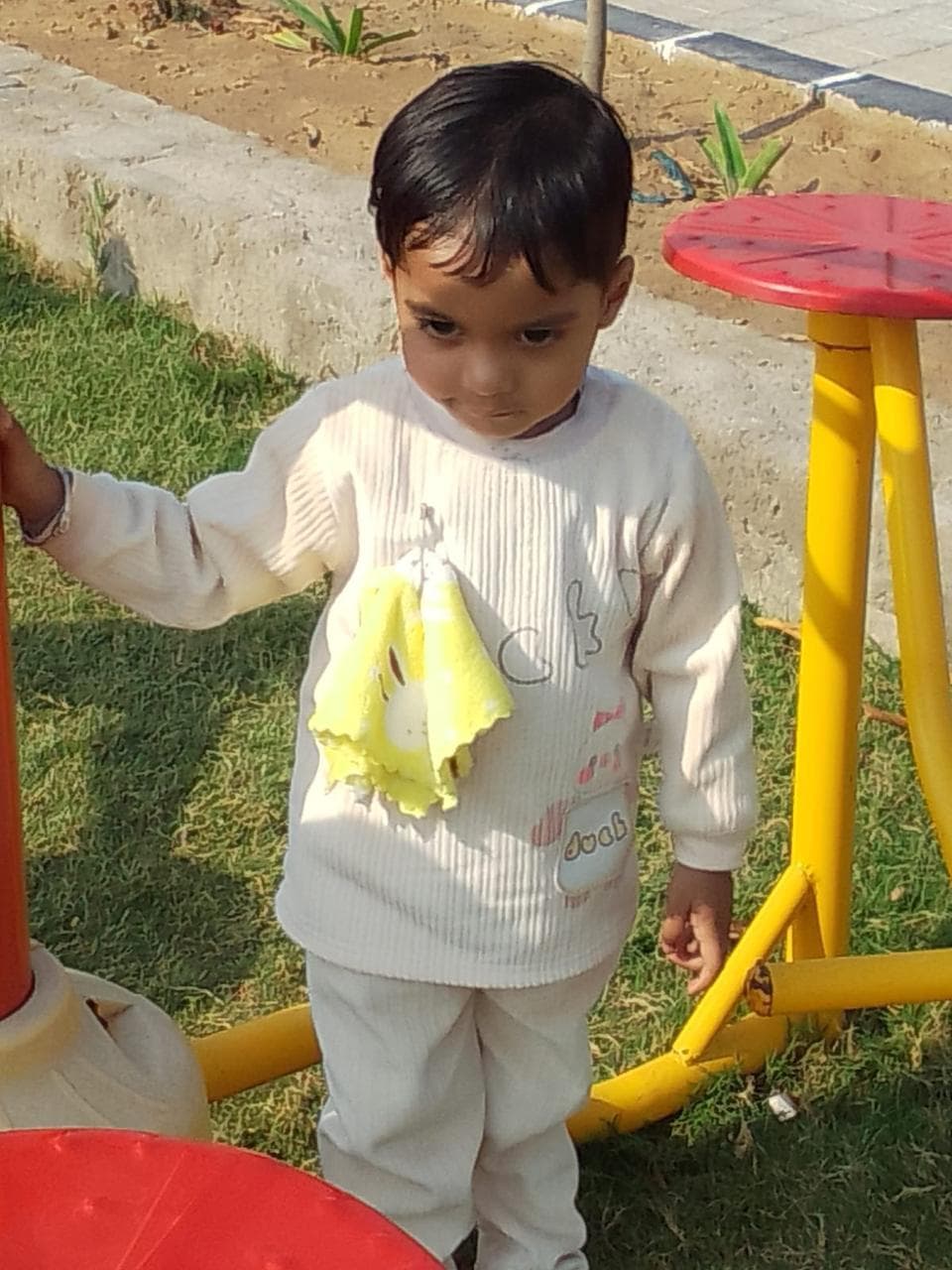 Garden Activity